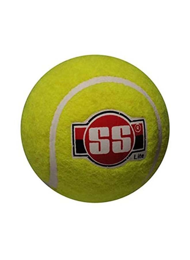 SS Cricket Soft Pro - Cricket Ball (1BOX = 12 Balls) 31x7x10cm 