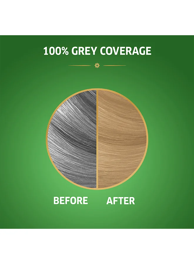 WELLA Koleston Naturals Hair Color 8/0 Light Blonde