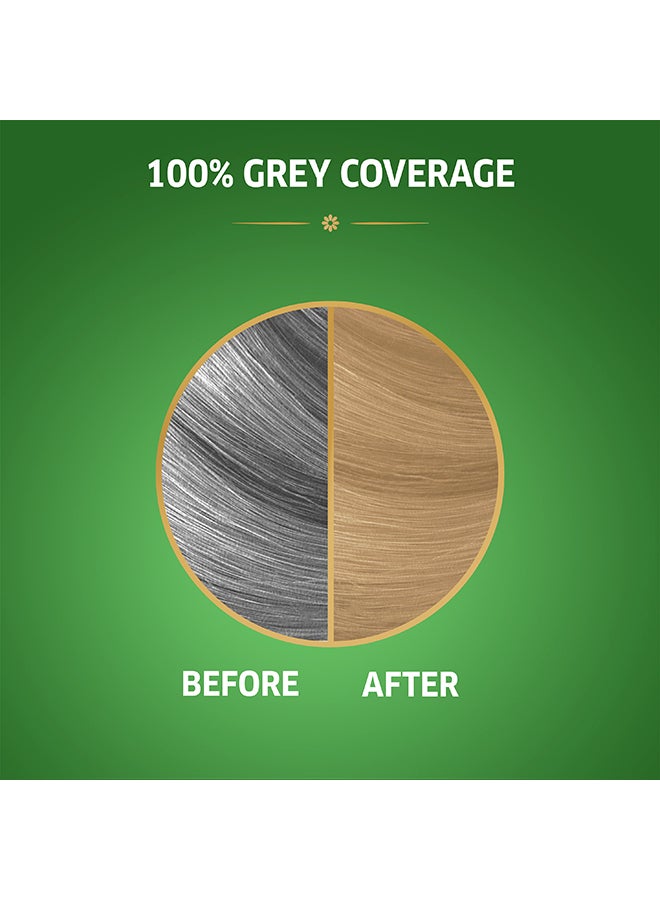 WELLA Koleston Naturals Hair Color 8/0 Light Blonde  - Image 3