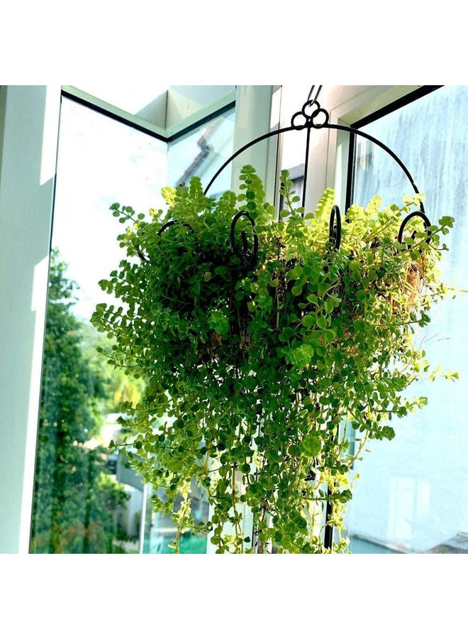 LINGWEI - Decorative Flower Pot Brown/Black 20x30x34cm - Image 1