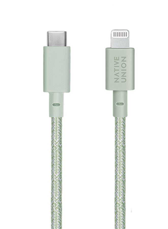 Native Union Pro USB-C To USB-C Charging Cable Sage - Image 2