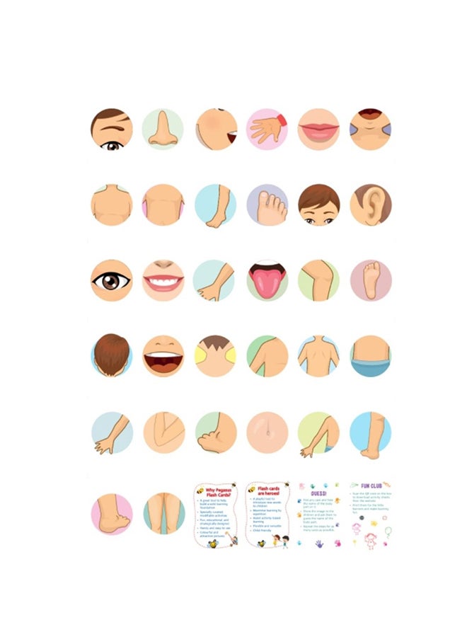 Little Kitabi 40-Human Body Educational Flash Cards 14x9x1.7cm  - Image 2