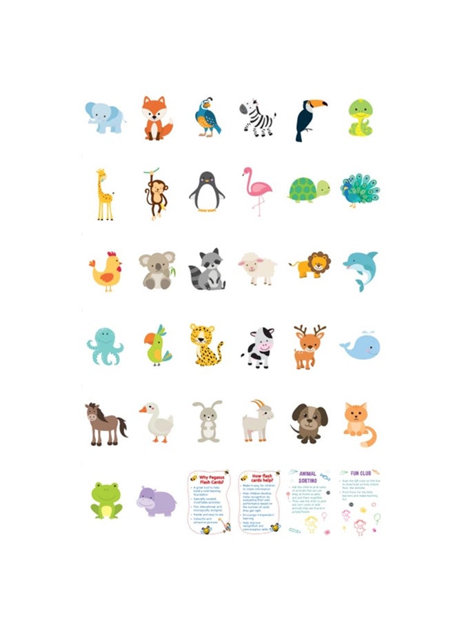 Little Kitabi 40-Animals And Birds Educational Flash Cards 14x9x1.7cm  - Image 2