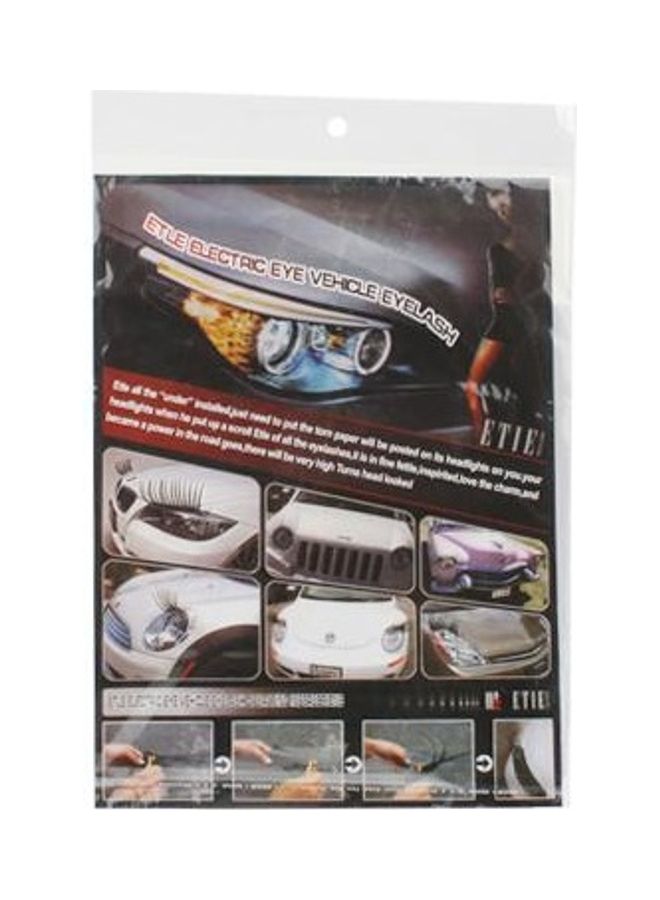 BGM 2-Piece  Etle Electric Eye Vehicle Eyelashes  - Image 3