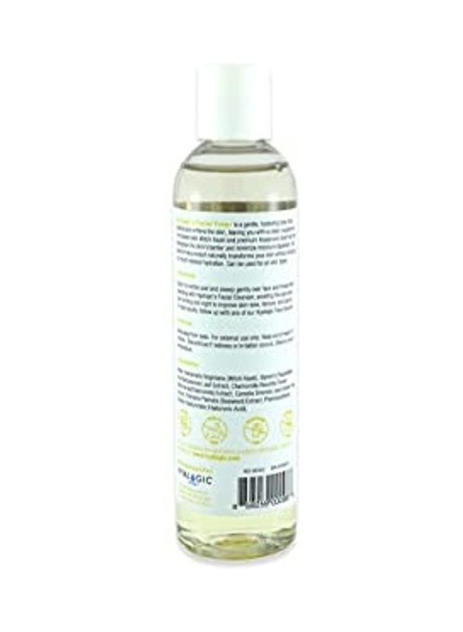 Hyalogic Spa Facial Toner With Witch Hazel Multicolour - Image 1