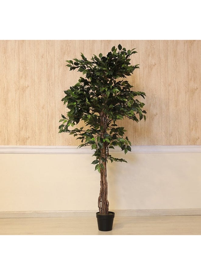 Artificial Ficus Tree Green 180cm - v1630305323/N39366345A_2