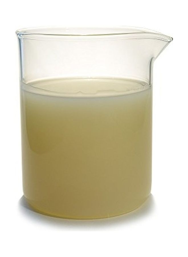 بيلا تيرا أويلز زيت الإيمو شفاف - Image 4