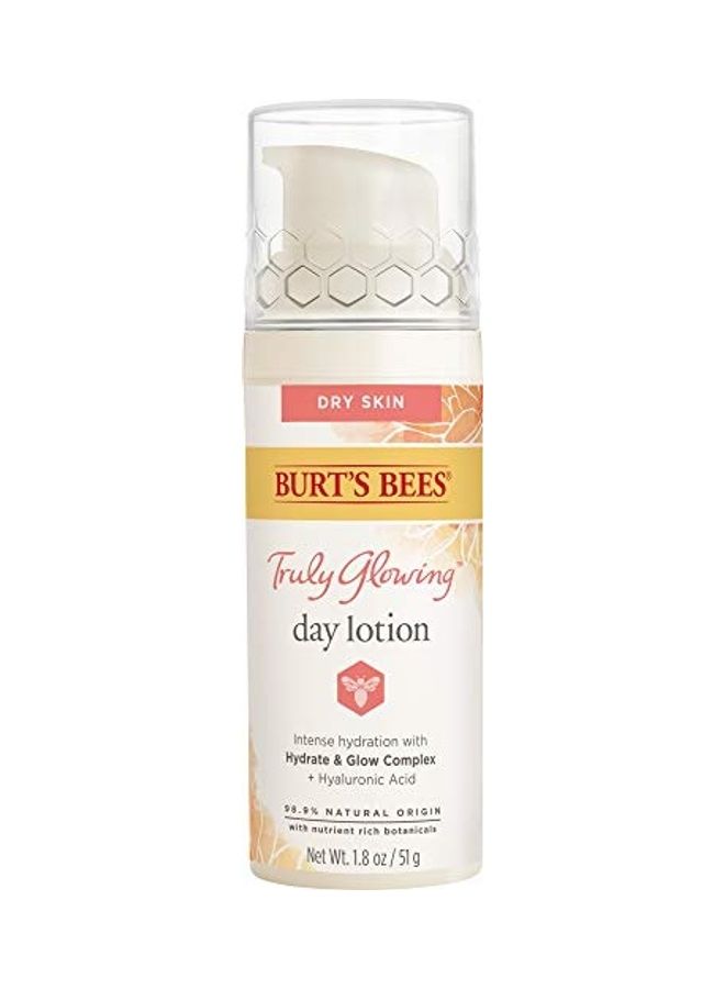 Burt's Bees Truly Glowing Day Lotion Face Cream with Naturally Derived Hyaluronic Acid White - Image 1