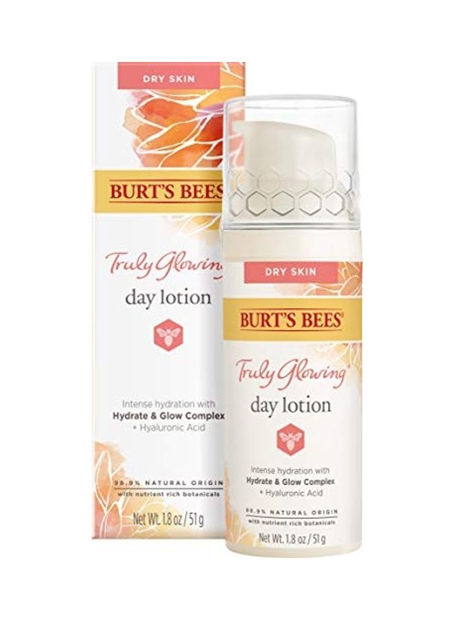 Burt's Bees Truly Glowing Day Lotion Face Cream with Naturally Derived Hyaluronic Acid White - Image 2