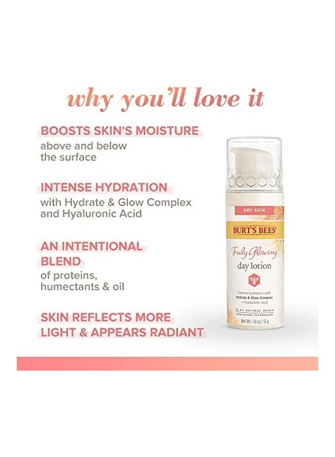 Burt's Bees Truly Glowing Day Lotion Face Cream with Naturally Derived Hyaluronic Acid White - Image 5