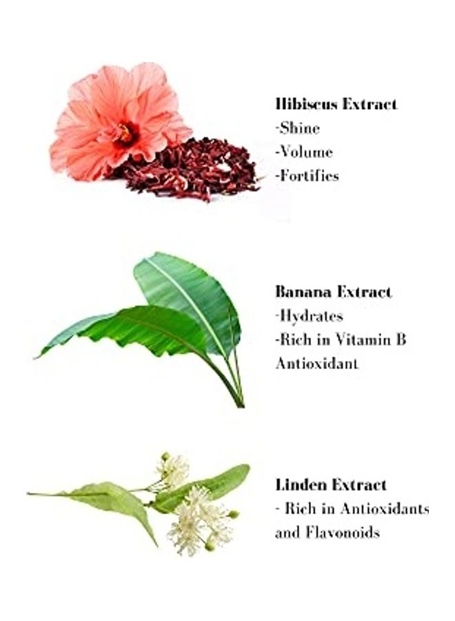 Leonor Greyl Paris Restructuring Volumizing Shampoo For Curly Hair White - Image 3