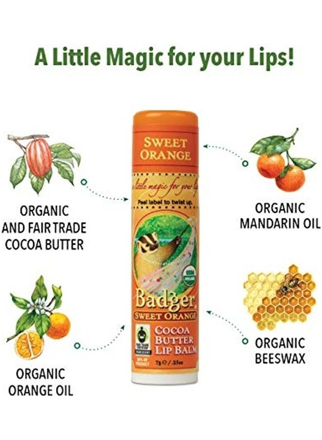 بادجير 4-Piece Cocoa Butter Lip Balm Set Sweet Orange - Image 5