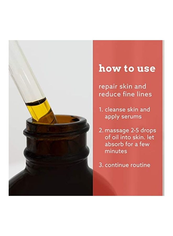 Eve Hansen Cold-Pressed Organic Rosehip Oil for Fine Lines, Wrinkles, Acne Scars Clear - Image 3