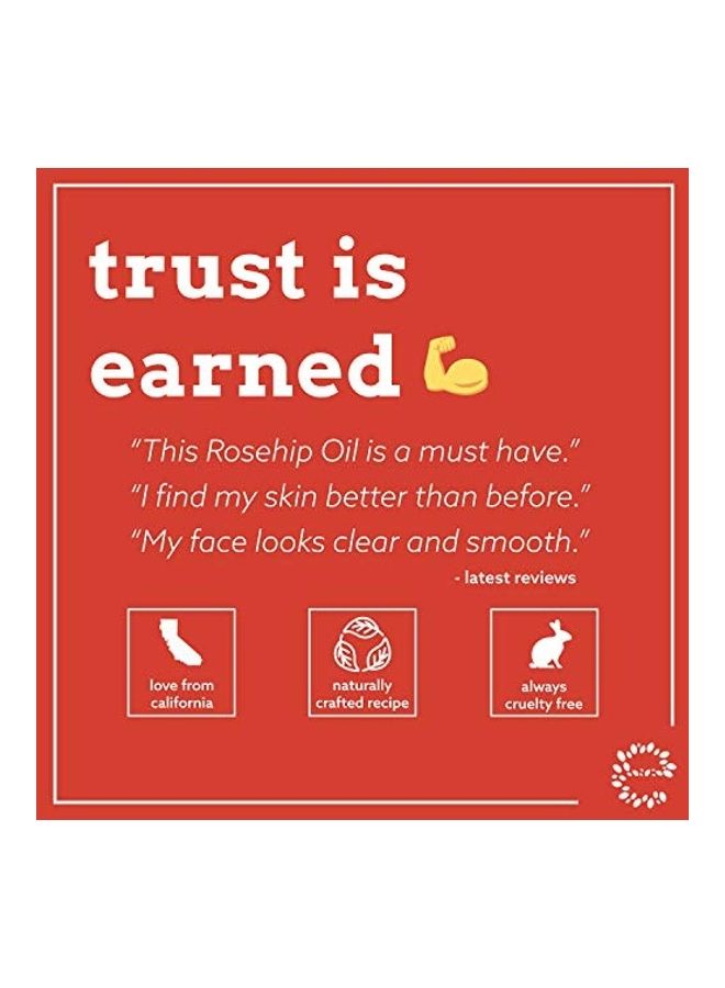 Eve Hansen Cold-Pressed Organic Rosehip Oil for Fine Lines, Wrinkles, Acne Scars Clear - Image 4