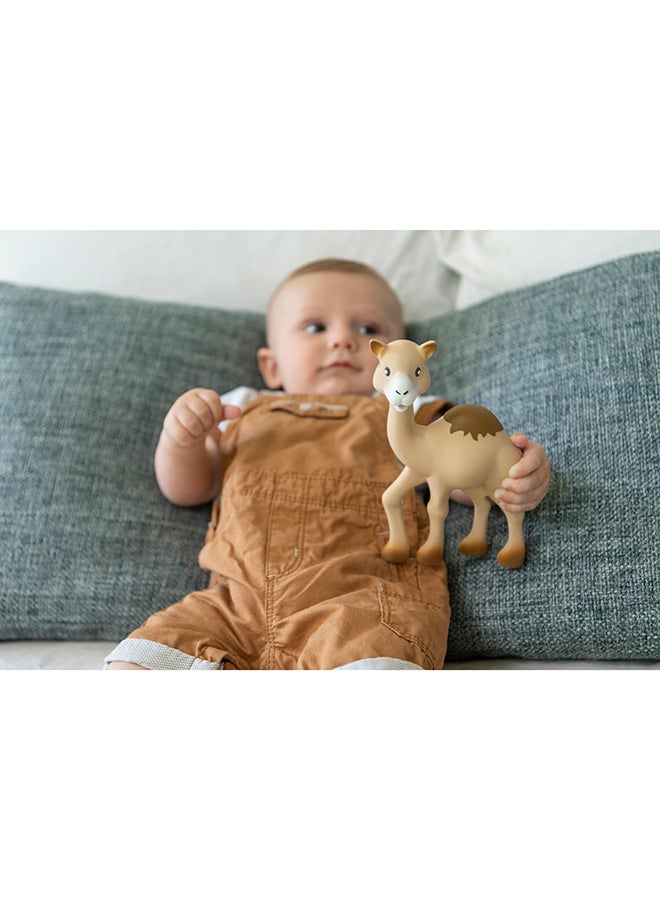 Sophie la girafe - Il Etait Une Fois Al'Thir - Image 1