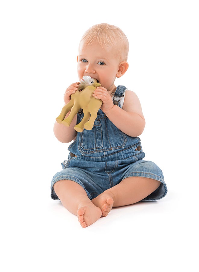 Sophie la girafe - Il Etait Une Fois Al'Thir - Image 1