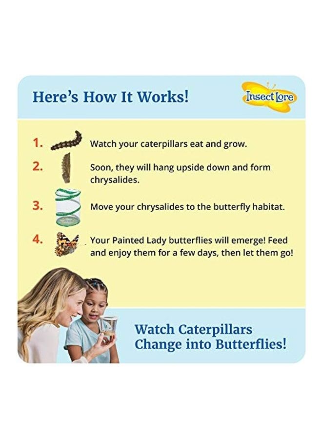 Insect Lore Butterfly Garden Kit - v1630736983/N50631853A_2