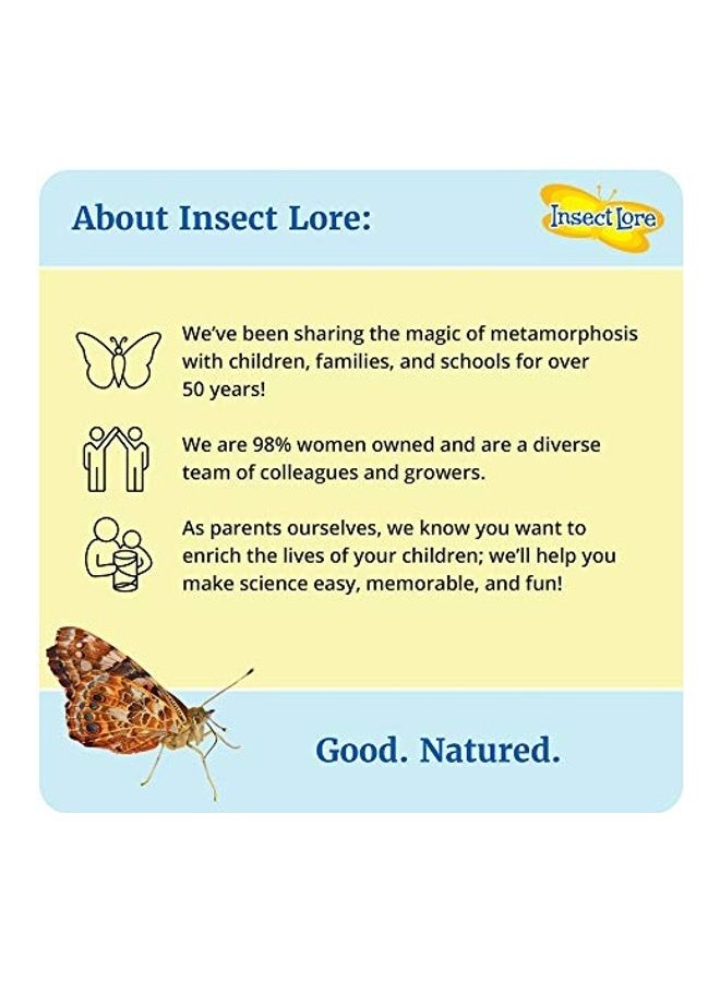 Insect Lore Butterfly Garden Kit - v1630736983/N50631853A_5