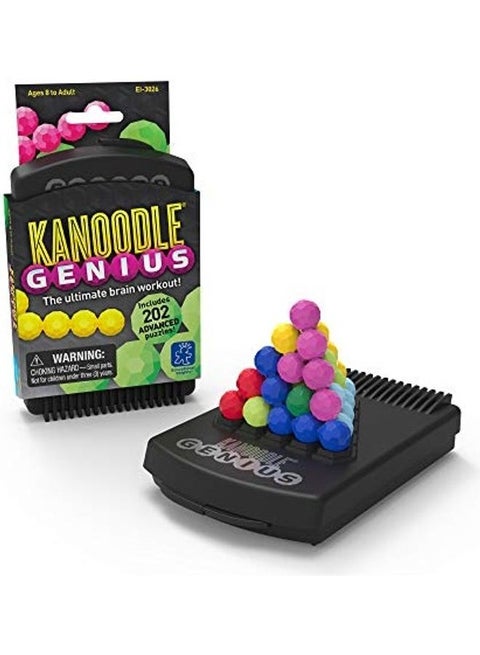 Kanoodle Genius Puzzle Game