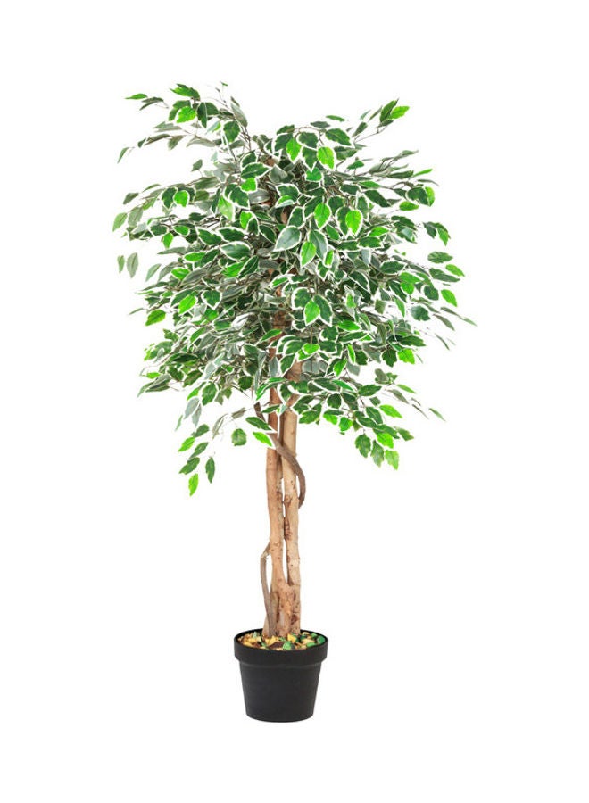 Generic - Ficus Tree Faux Artificial Plant With Natural Trunk For Decoration Green 120cm - Image 1