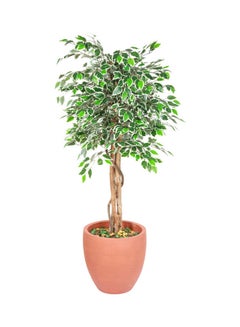 Generic Ficus Tree Faux Artificial Plant With Natural Trunk For Decoration Green 120cm  - Image 2