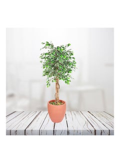 Generic Ficus Tree Faux Artificial Plant With Natural Trunk For Decoration Green 120cm  - Image 4