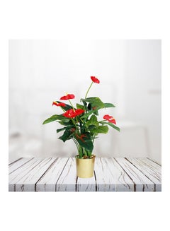 Generic Premium Quality Artificial Anthurium Faux Plant Tropical Tree With Decorative Vase For Home, Hotel, Office Decoration Multicolour 90cm  - Image 4