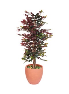 Generic Ficus Tree Faux Artificial Plant With Natural Trunk For Decoration Red/Green 150cm  - Image 3