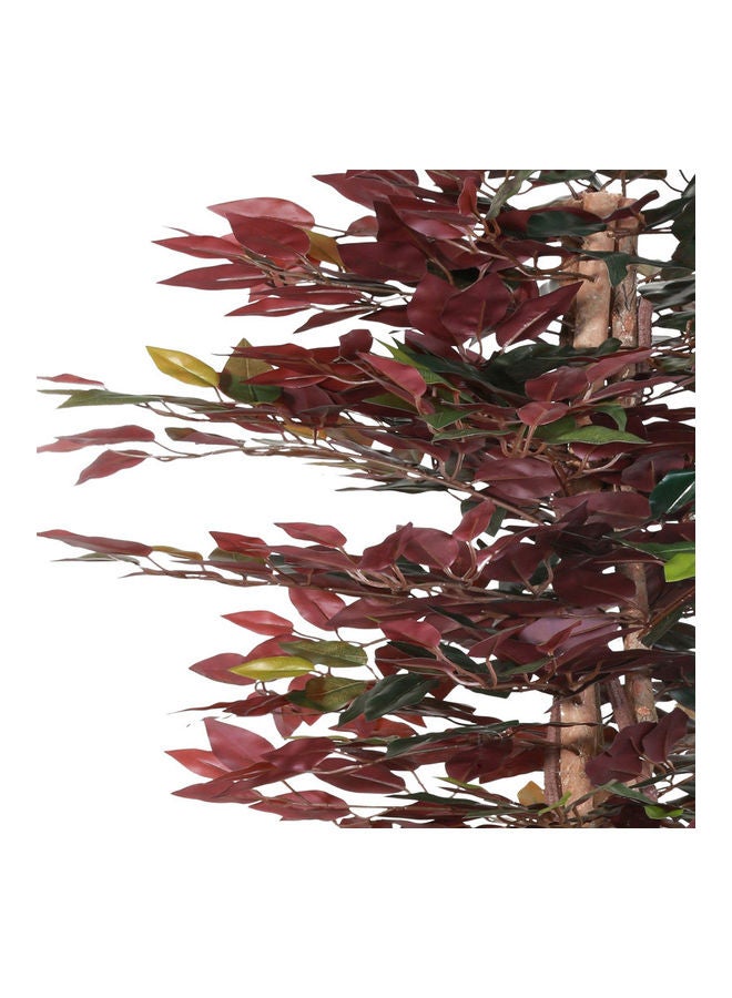 Generic - Ficus Tree Faux Artificial Plant With Natural Trunk For Decoration Red/Green 150cm - Image 1