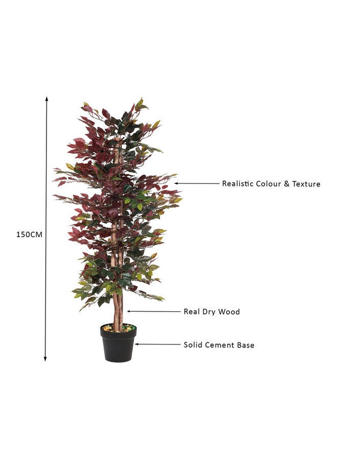 Generic - Ficus Tree Faux Artificial Plant With Natural Trunk For Decoration Red/Green 150cm - Image 1