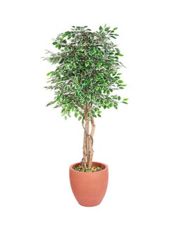 Generic Ficus Tree Faux Artificial Plant With Natural Trunk For Decoration Green 150cm  - Image 2