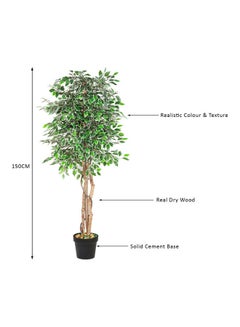Generic Ficus Tree Faux Artificial Plant With Natural Trunk For Decoration Green 150cm  - Image 3