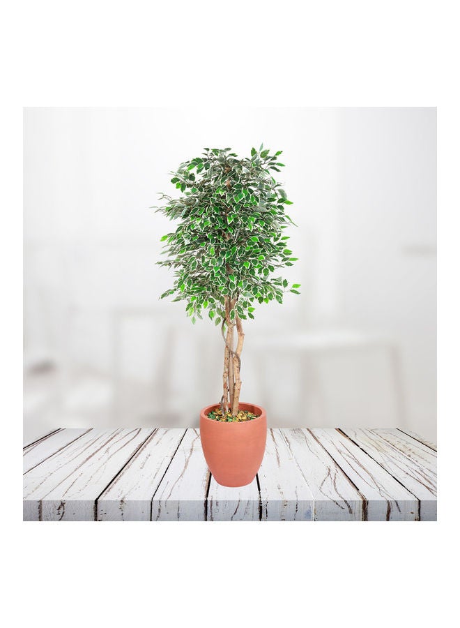 Generic Ficus Tree Faux Artificial Plant With Natural Trunk For Decoration Green 150cm  - Image 4