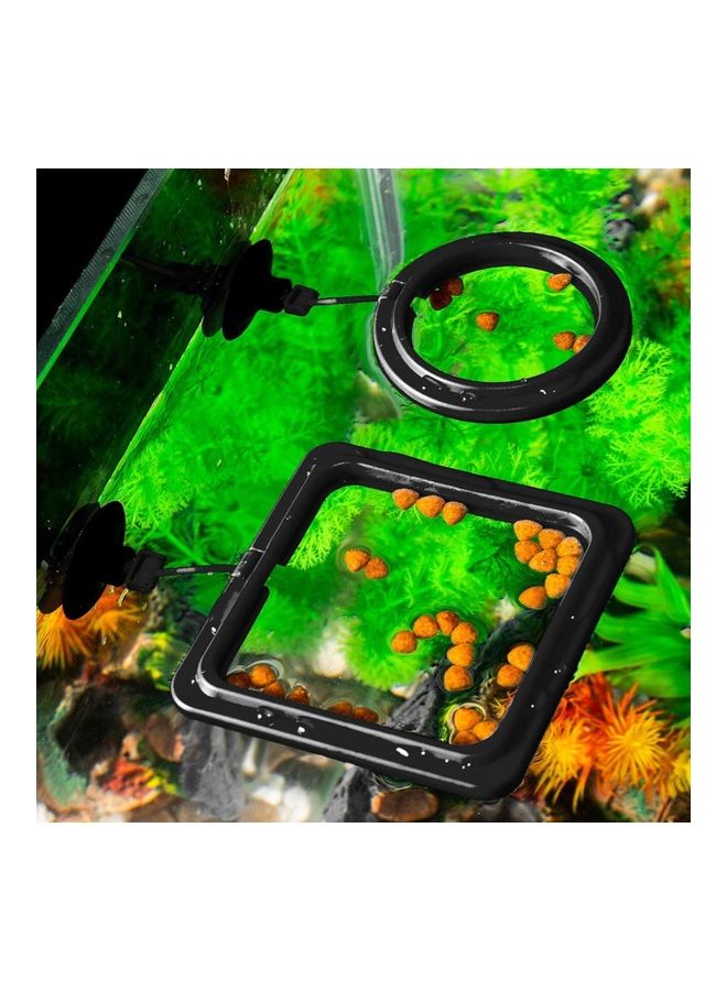 Generic Fish Feeding Ring Round with Suction Cup Black 7.5cm  - Image 2
