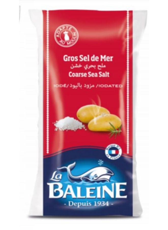 La Baleine - Coarse Sea Salt Iodalized 1kg - Image 1