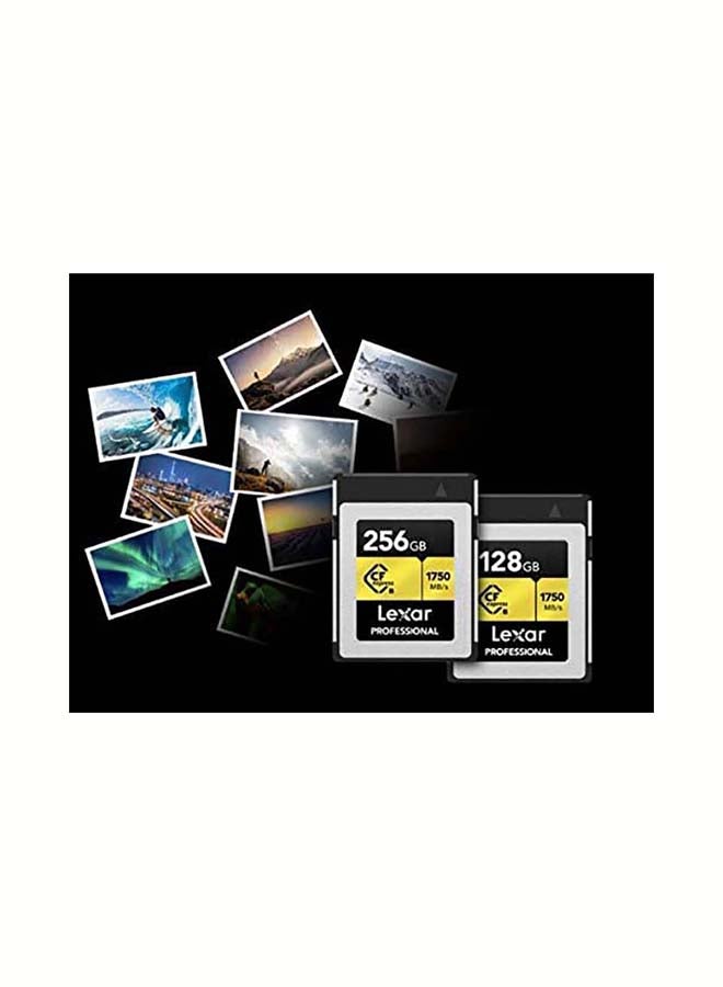 ليكسار حذاء احترافي Cf إكسبريس من النوع B 256 GB - Image 2