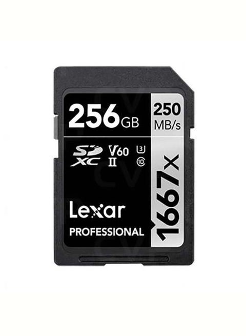 256GB Professional 1667x SDXC 256 GB