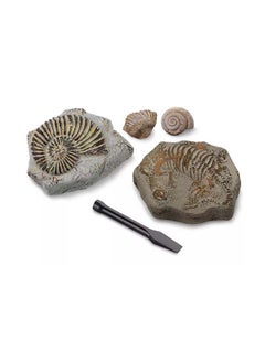 Toy Excavation Kit Mini Fossil 2PC ‎22.86 x 22.86 x 7.11cm