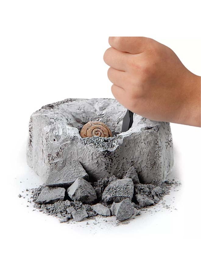 Discovery - Toy Excavation Kit Mini Fossil 2PC ‎22.86 x 22.86 x 7.11cm - Image 1