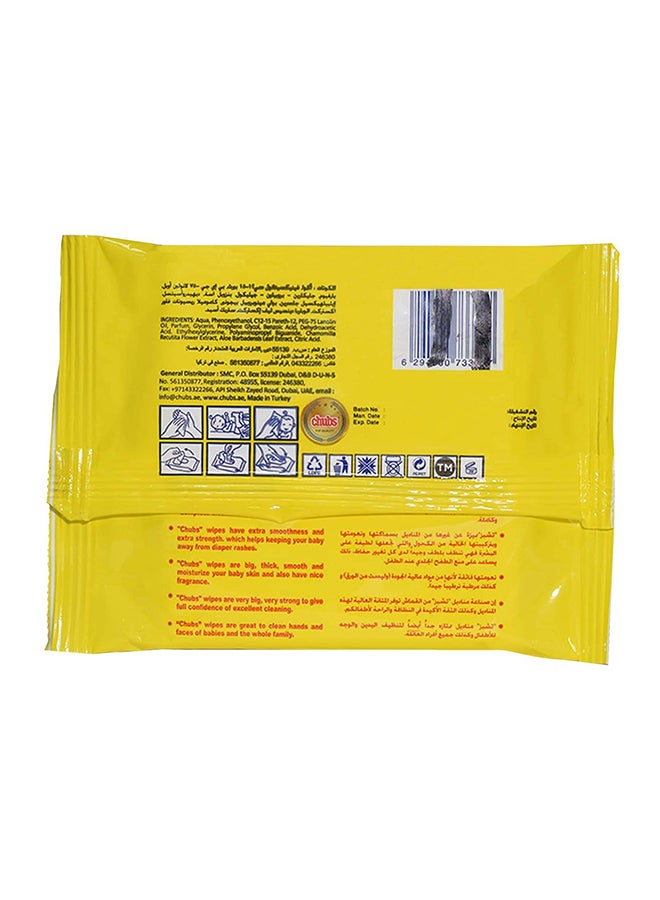 Chubs - Alcohol-Free Wet Baby Wipes With Aloe Extract And Chamomile, 20 Count - Image 1