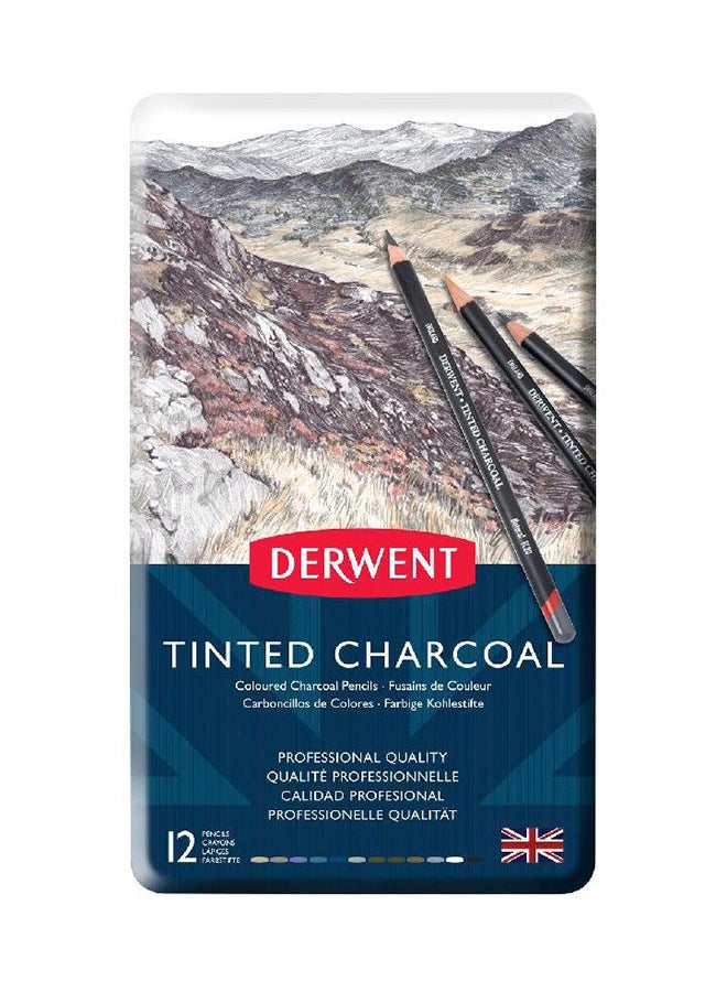 Derwent 12-Piece Tinted Charcoal Pencil Set Multicolour - Image 1