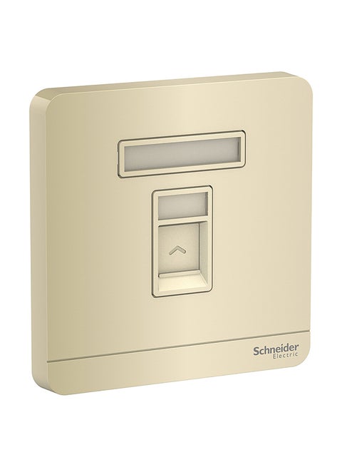 Single Gang Keystone Wallplate With Shutter Gold 8.6x8.6x3.17cm
