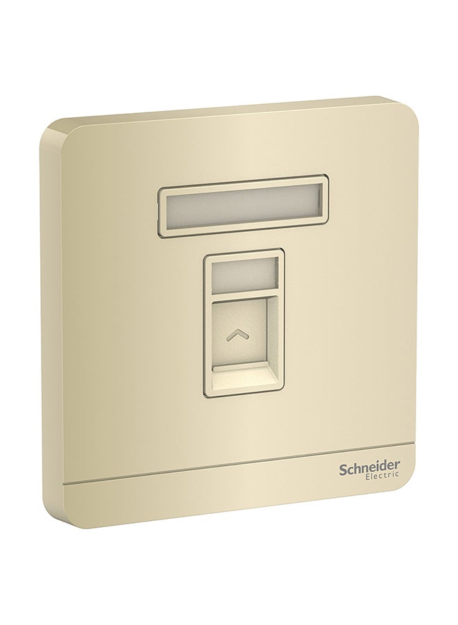 Schneider Electric - Single Gang Keystone Wallplate With Shutter Gold 8.6x8.6x3.17cm - Image 1