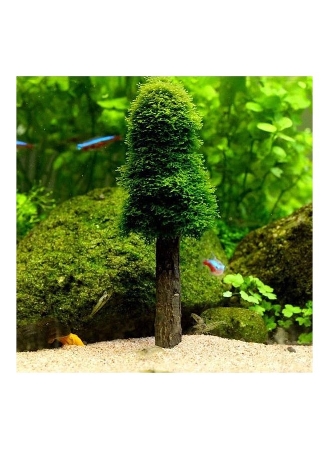 ديكور نبات بتصميم شجرة مغطاة بالطحالب متعدد الألوان 13سم - Image 4