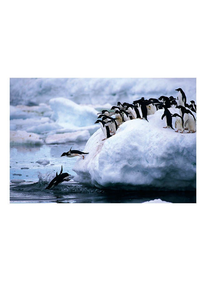 TOMAX Penguins 1000Pcs Puzzle 50x75cm 