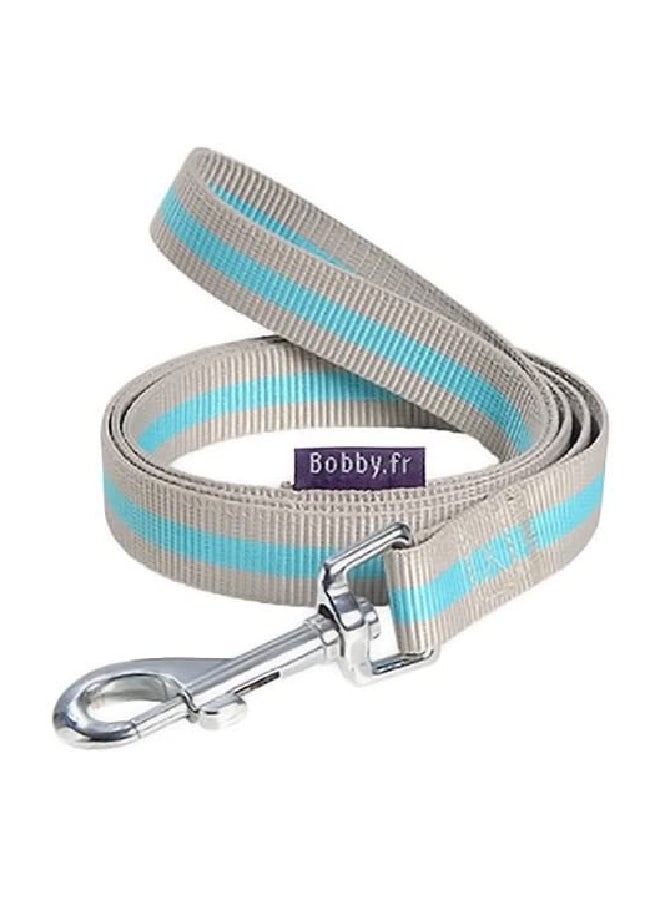 مقود أرليكوين