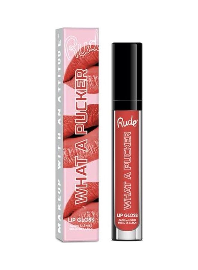 Rude What A Pucker Lip Gloss Shut the Front Door  - Image 1