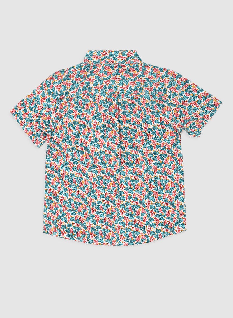 Zarafa - Baby Boys Collared Neck Short Sleeve Shirt Multicolour - Image 1