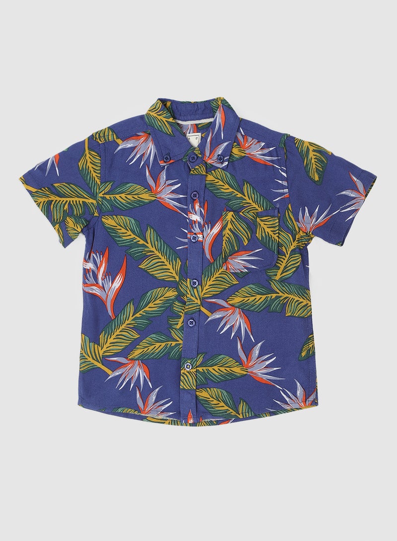 Zarafa - Baby Boys Collared Neck Short Sleeve Shirt Multicolour - Image 1