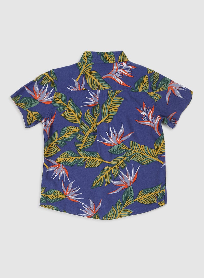 Zarafa - Baby Boys Collared Neck Short Sleeve Shirt Multicolour - Image 1
